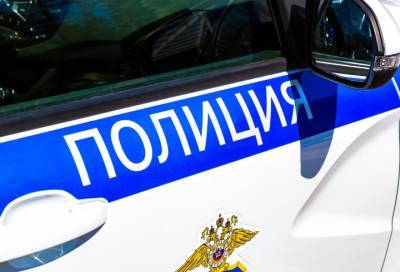 Пьяный грузчик признался полицейским в изнасиловании 14-летней девочки в Пикалево