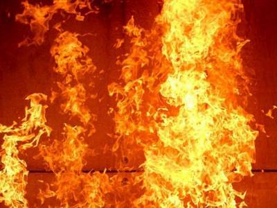 На Днепропетровщине выгорело пять коттеджных домов
