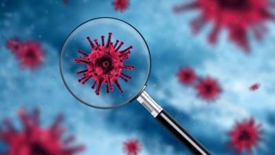 Ученые выяснили, как долго в организме могут «жить» антитела к коронавирусу