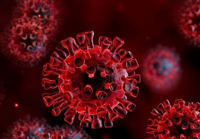 В Ленобласти за сутки выявили 128 зараженных коронавирусом — данные на 24 октября