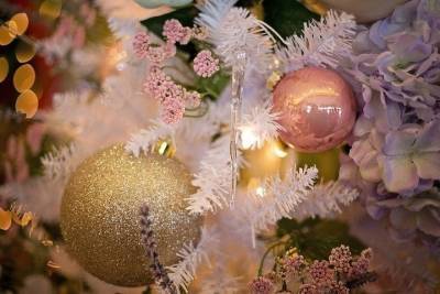 Главную Новогоднюю ёлку в Воронеже установят за 1,9 млн рублей