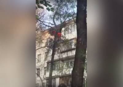 При пожаре в Гольянове погиб один человек