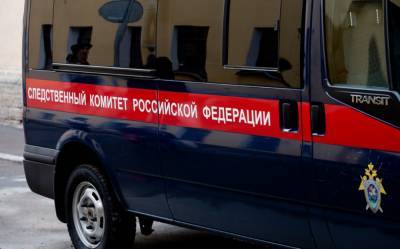 Школьница погибла в Петрозаводске при неясных обстоятельствах