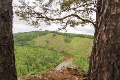 Глава Забайкалья назвал пути развития лесной отрасли в регионе