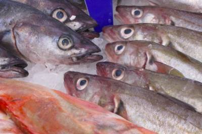 В России отмечен рост цен на мороженую рыбу