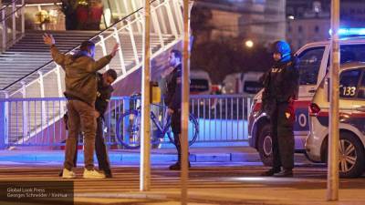 Пять человек стали жертвами стрельбы в Вене