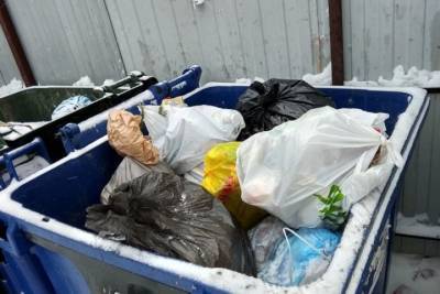 Московский суд отказался остановить рост тарифа на мусор в Новосибирске