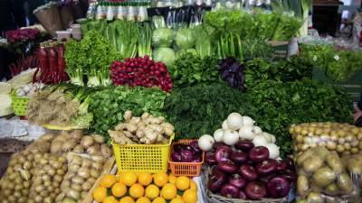 В Ставропольском крае рассказали о росте производства тепличных овощей