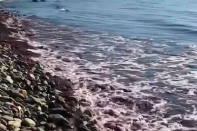 Власти объяснили феномен красного Черного моря на российском курорте