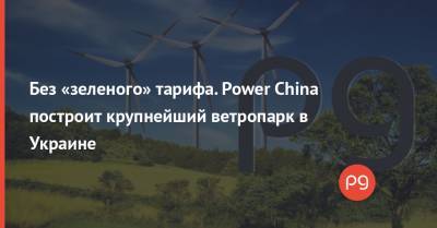 Без «зеленого» тарифа. Power China построит крупнейший ветропарк в Украине