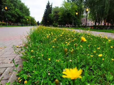 Юбилейный бульвар преобразится к 800-летию Нижнего Новгорода