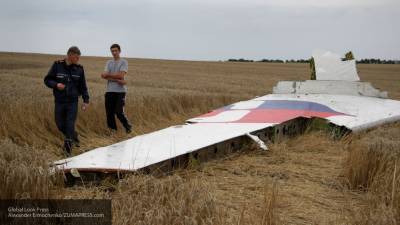 Голландские парламентарии подключились к расследованию MH17