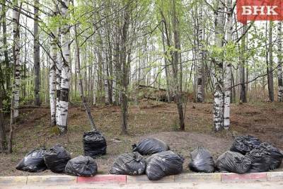 В рамках всероссийского субботника Коми очистили от 140 тонн мусора