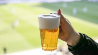 Стало известно, когда Госдума рассмотрит законопроект о продаже пива на стадионах