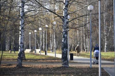 В городе Владимире завершен первый этап благоустройства парка «Добросельский»