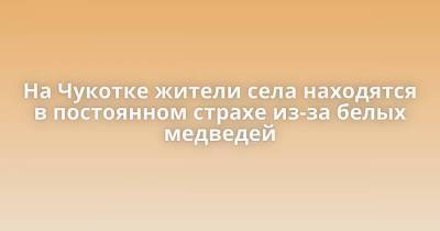 На Чукотке жители села находятся в постоянном страхе из-за белых медведей