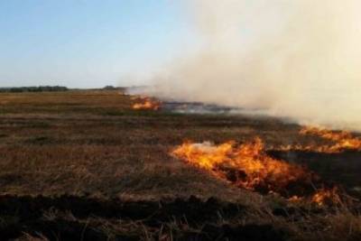 Пять районов Забайкалья уличили в халатной подготовке к пожарам