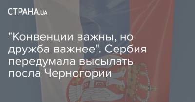 "Конвенции важны, но дружба важнее". Сербия передумала высылать посла Черногории