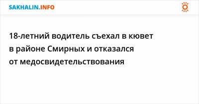 18-летний водитель съехал в кювет в районе Смирных и отказался от медосвидетельствования