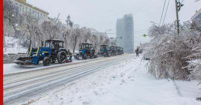 Ущерб от ледяного циклона в Приморье оценили в 290 млн рублей