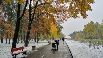 Зимняя погода уже ворвалась в Украину, ливни со снегом ударят по ряду областей: детальный прогноз