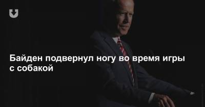 Байден подвернул ногу во время игры с собакой