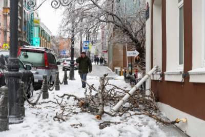 Уже более 290 млн рублей ушло на ликвидацию ледяного шторма в Приморье