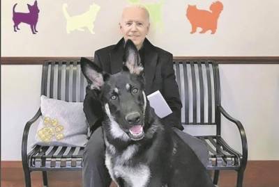 Джо Байден упал во время прогулки с собаками: томография показала две трещины в ноге