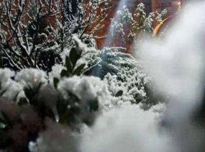 Западную Украину засыпало снегом: в Сети появились впечатляющие кадры (ФОТО)