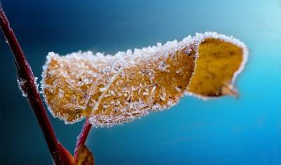 Синоптики в Башкирии сообщили о резком понижении температуры в первые дни декабря