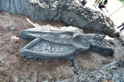Ученые нашли скелет 12-метрового левиафана возрастом около 5 тысяч лет