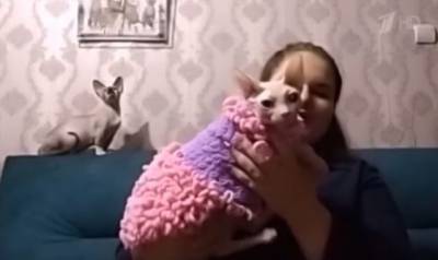 Кемеровчанка с кошками стали героями передачи на Первом канале