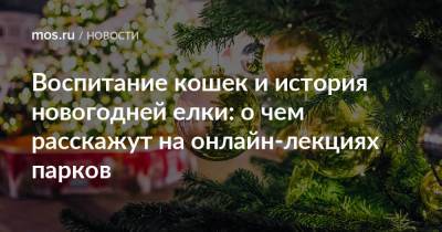 Воспитание кошек и история новогодней елки: о чем расскажут на онлайн-лекциях парков