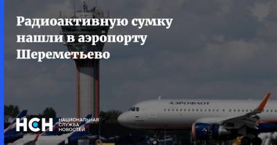 Радиоактивную сумку нашли в аэропорту Шереметьево