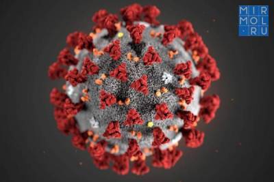 Где дагестанцы чаще всего заражаются коронавирусом?