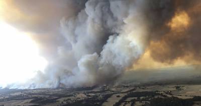 Рекордная жара и масштабные пожары: Австралия вновь страдает от погодных аномалий