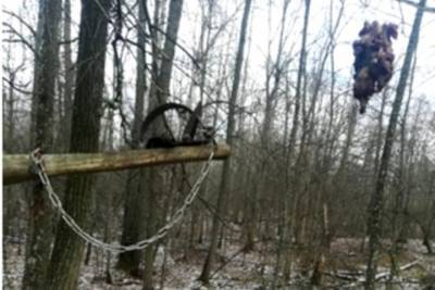 В Чувашии охотника с полувековым стажем поймали на браконьерстве
