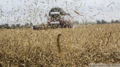 Способ повышения урожайности зерна запатентовали в Бурятии