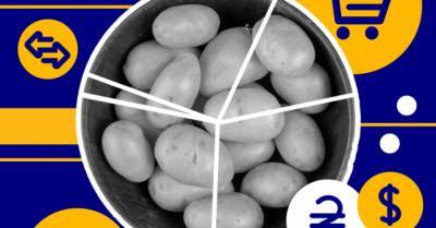 Импорт картофеля в Украину вырос в 4 раза: почему мы перестали выращивать &quot;второй хлеб&quot;