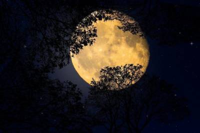 30 ноября земляне увидят лунное затмение