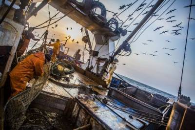 Безработные латвийские рыбаки переехали на Дальний Восток из-за политики ЕС