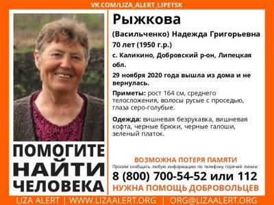 Требуется помощь добровольцев: в Липецкой области пропала пенсионерка