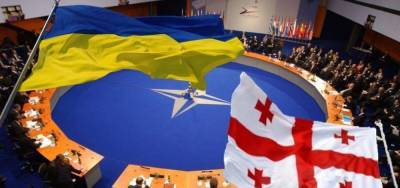 НАТО готовится дать Грузии шанс на вступление – Украина остается «за бортом»