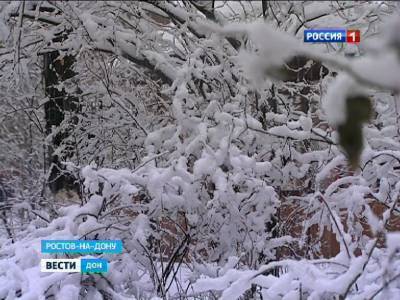 Донские синоптики рассказали, ждать ли снег в декабре