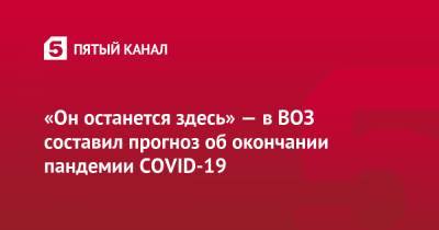 «Он останется здесь» — в ВОЗ составил прогноз об окончании пандемии COVID-19