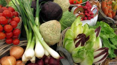 Развитие тепличных комплексов увеличит потребление овощей в России