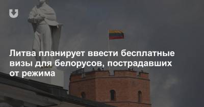 Литва планирует ввести бесплатные визы для белорусов, пострадавших от режима