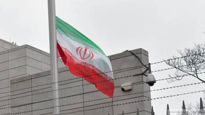 Стало известно происхождение оружия, которым был убит иранский ученый