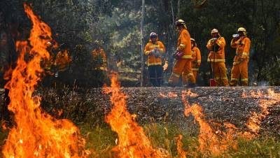 Австралийский остров Фрейзер из списка ЮНЕСКО закрыли из-за пожаров