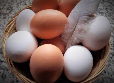 Диетолог рассказала об опасности куриных яиц